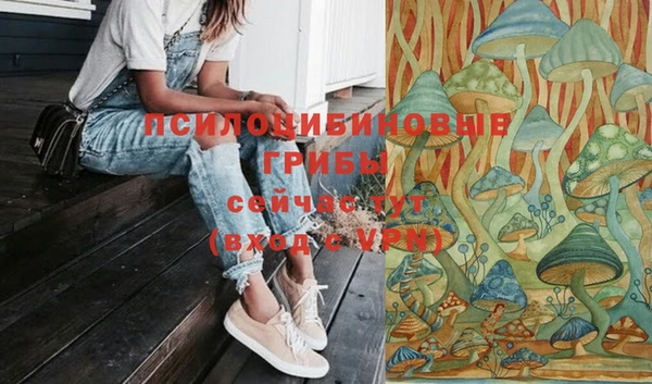 меф VHQ Козловка