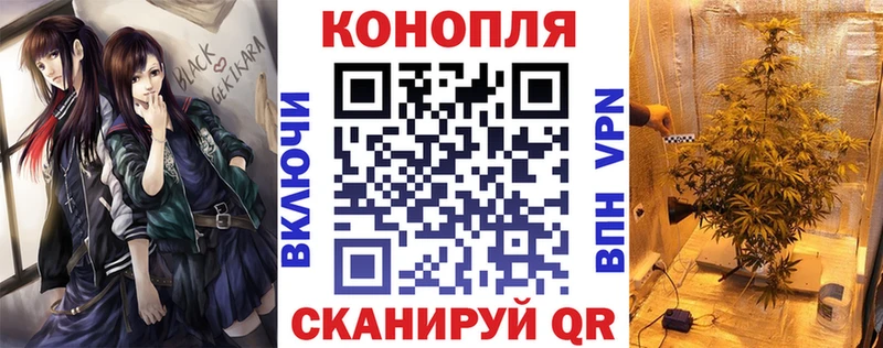 Бошки Шишки конопля  Купить  Бирюч 
